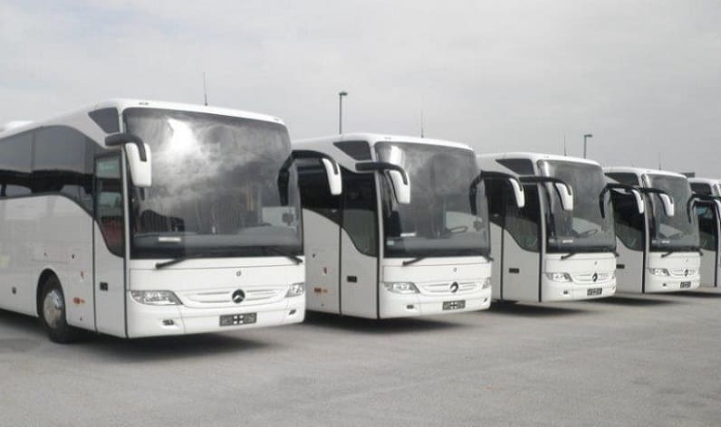 Italy: Bus company in Sardinia in Sardinia and Italy